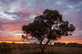 Outback sunrise landscape Australia