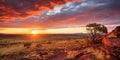 Outback sunset landscape. Australia outback plains.