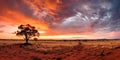 Outback sunset landscape. Australia outback plains. vibrant fiery orange sunset sky. Royalty Free Stock Photo