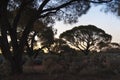 Outback Sunset Royalty Free Stock Photo