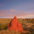 Outback Western Australia Giant Red Termite Mound Twilight Sunse Royalty Free Stock Photo