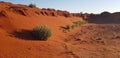 Outback Western Australia Gibson Desert extreme environment