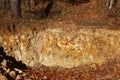 Outcrop of fractured limestone rocks of the Carboniferous period