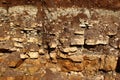 Outcrop of limestone strata to the day surface. Sedimentary rocks of the Carboniferous period