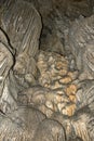 Outcrop of Psychro Cave, Crete, Greece Royalty Free Stock Photo