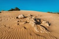 Outcrops of mineral rock in foreground in the middle of sand dunes in the desert. Geology of shale and granite, or climate