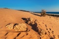 mineral rock in the foreground in the middle of sand dunes in the desert. Geology of shale and granite or climate