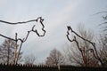 Outdated iron silhouette sculptures in the shape of German Boxer dogs with cropped ears and tails, a practice prohibited in German