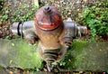 Outdated Red Hydrant on Roadside Royalty Free Stock Photo