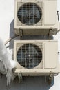 An outdoor air conditioner unit consisting of two fans. A large industrial air conditioner on the wall of a store or enterprise. Royalty Free Stock Photo