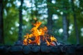 Outdoor ambiance Campfire flickers over vibrant green background