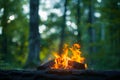 Outdoor ambiance Campfire flickers over vibrant green background