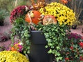Outdoor autumn flower arrangement with yellow and red mums - chrysanthemum - pumpkins and ivy Royalty Free Stock Photo