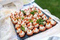 Outdoor banquet table with many snacks and delicacies Royalty Free Stock Photo