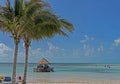 Palm trees lean over the sand and ocean in the Bahamas. Royalty Free Stock Photo