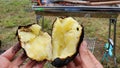 Roast potato nest to the barbecue grill