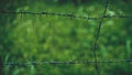 Outdoor Barbed Wire Fence	Blurred Background Royalty Free Stock Photo