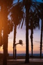 outdoor basketball court with hoop at sunset in palm trees park, tropical California vibes Royalty Free Stock Photo