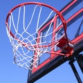 Outdoor Basketball Hoop Net