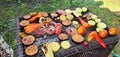 Outdoor BBQ grilling with a variety of vegetables. Grill cooking in the great outdoors