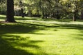 Outdoor, beautiful park with leafy trees Royalty Free Stock Photo