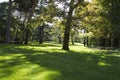 Outdoor, beautiful park with leafy trees Royalty Free Stock Photo