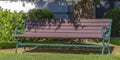 Outdoor bench under a tree on a sunny day Royalty Free Stock Photo