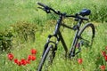 Outdoor bike recreation. Bicycle surrounded by green grass and flowers
