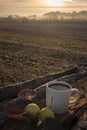 Coffee mug on tree bark at sunrise Royalty Free Stock Photo