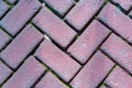 Outdoor brick pavers laid in herringbone pattern Royalty Free Stock Photo