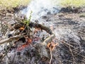 Outdoor brush fire with smoke and embers