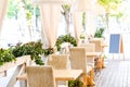 Outdoor cafe, terrace. Chairs and wooden tables on the terrace with beautiful greens in a cozy cafe Royalty Free Stock Photo