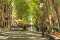 Outdoor Cafes on the tree lined street Passeig del Born, Mallorca