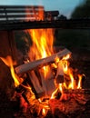 Outdoor campfire glowing in summer evening in nature