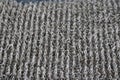 Outdoor carpet fibers closeup. Macro view of door mat carpet bristles.