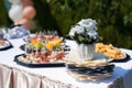 Outdoor catering food at the wedding. Fine Banquet Table in the back yard.