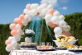 Outdoor catering food at the wedding. Fine Banquet Table in the back yard.