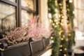 Outdoor Christmas decoration near the restaurant. Lviv Royalty Free Stock Photo