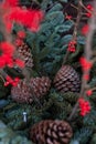 Outdoor Christmas decoration with pine cones, christmas berries and pine tree branches Royalty Free Stock Photo