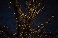 Outdoor Christmas decorations of illuminated fairy lights wrapped around winter tree branches Royalty Free Stock Photo