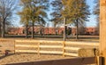 Outdoor Christmas Nativity Scene on Hospital Campus