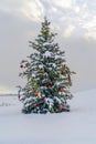 Outdoor Christmas tree on snowy ground against sky Royalty Free Stock Photo