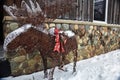 Outdoor Christmas and Winter Moose Decoration Royalty Free Stock Photo