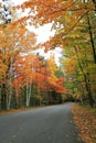 Outdoor Colorful Autumn Scenic Road Royalty Free Stock Photo