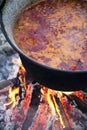 Outdoor cooking Royalty Free Stock Photo