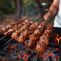 Outdoor cooking Guy barbecuing shish kebab on hot grill