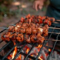 Outdoor cooking Guy barbecuing shish kebab on hot grill