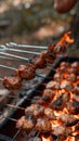 Outdoor cooking Guy barbecuing shish kebab on hot grill