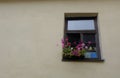 Outdoor dark brown window frame and window ledge with container of deep pink flowers Royalty Free Stock Photo