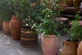 Outdoor decor made from clay pots and plants. Royalty Free Stock Photo
